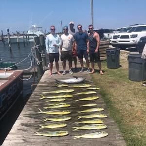 Meet your Posher, Robert